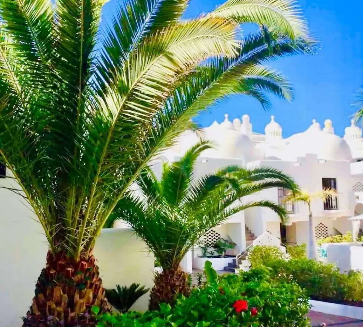Chic Resort Feel - Oceanfront, Heated Pool Costa Adeje  0*, Costa Adeje (Tenerife) Spanien